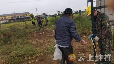 柴湖镇：巧解高铁栅栏“拦路”难题，村民耕作路畅通了！