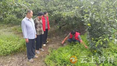 从“被动应对”到“主动治理”——旧口镇综治中心书写乡村矛盾化解新答卷