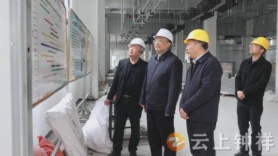 李鹏在钟祥经济开发区调研企业生产经营、项目建设等工作