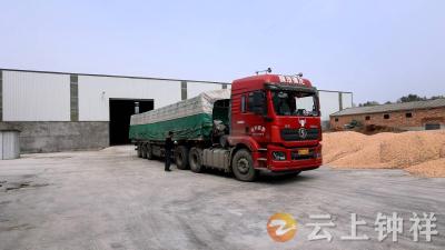 钟祥：129个烘干网点连轴转  助力河南粮食“颗粒归仓”