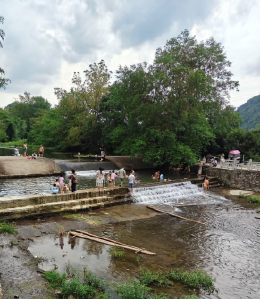 赤壁：“村播”书记镜头里的振兴密码