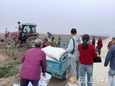 旧口镇：秋播抗湿攻坚战 田间抢时保增收