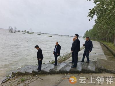 丰乐镇：严督实查 筑牢防汛纪律堤坝