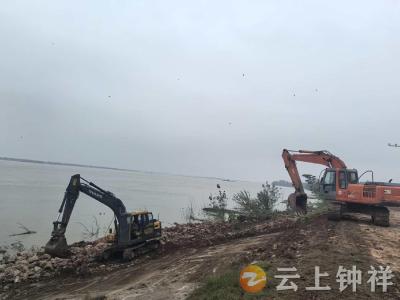 丰乐镇：巡堤查险不松懈 化险为夷护安澜