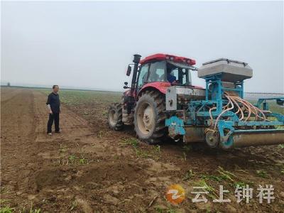 柴湖镇：精播小麦保民生 科技护航夏粮丰