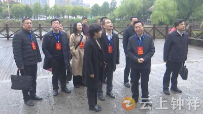 市人大城乡发展代表小组开展第三季度代表小组活动暨重点议案办理情况视察