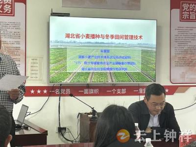 湖北省农业专家深入村组开展秋播技术培训