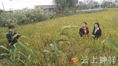 短视频助农人气旺！文集镇王集村探索村企合作带货新模式