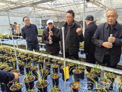 东桥镇：“情暖重阳”传温情 “助力振兴”谱新篇