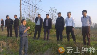 省农业农村厅调研钟祥秋播农业生产相关工作