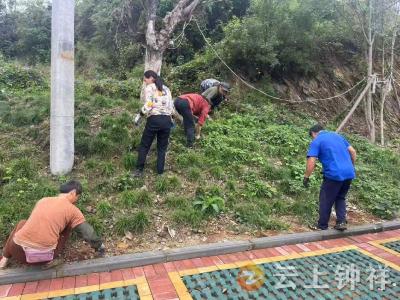 张集镇宗湾村：网格助力环境整治 携手共建美丽家园