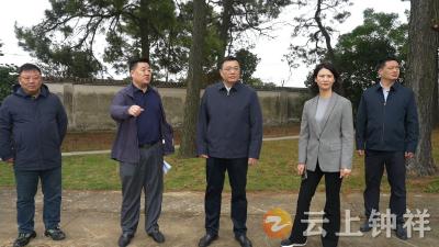 李鹏调研殡葬  养老领域审计整改和群腐整治等工作