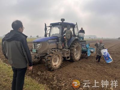 丰乐镇多点发力推进秋播工作 夯实秋冬农业生产基础