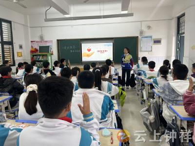 大柴湖实验小学教联体：深耕生态课堂，践行育人初心