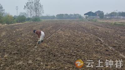 冷水镇董沟村抢抓农时忙开沟 护航油菜秋播生产