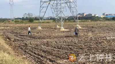 郢中街道高庙社区全力推进秋冬播生产工作