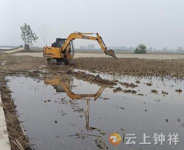 文集镇：党员干部显担当 田间排水解民忧