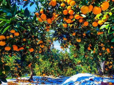 3位院士同台，这里谋划了什么？