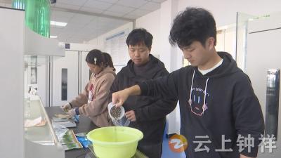 钟祥市气象局携手华中农业大学开展油菜高产试验