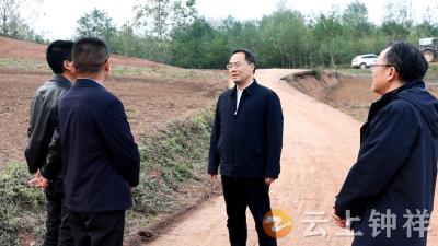 张勇在丰乐 洋梓调研秋播生产工作