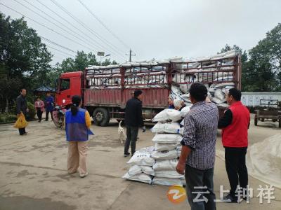 张集镇黑王寨村：抢耕抢种增效益 油菜轮作促增收