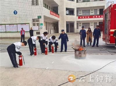 柴湖镇：消防知识进校园 安全守护伴成长
