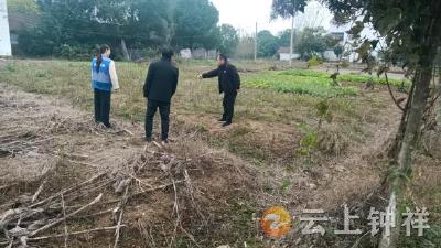 罗汉寺种畜场：田埂地头化矛盾 网格调解暖民心