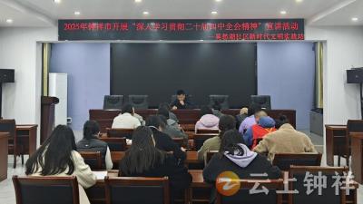 莫愁湖社区：让党的二十届四中全会精神在基层“落地生根”