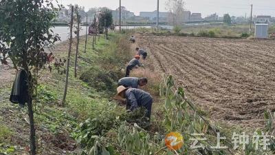 冷水镇李湾村：积分制“兑”出乡村新面貌