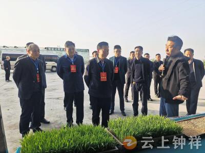 市人大常委会视察调研市八届人大一号议案办理情况及《巩固拓展脱贫攻坚成果与乡村振兴有效衔接工作》情况