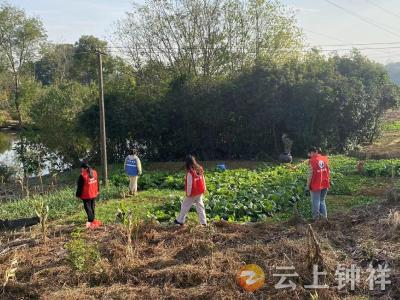 郢中街道高庙社区开展“禁种铲毒”踏查行动 筑牢全民禁毒防线