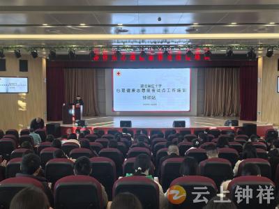 以培训强技能 以志愿暖心灵——钟祥市首场“莫愁护佑”心理健康志愿服务能力提升培训圆满举办