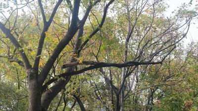 郢中街道新堤社区：“积分制”激活治理“大能量”