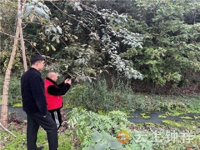 柴湖镇：协同发力护河湖 联动巡守护安澜