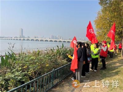 为家乡河流奔走！钟祥近百名守护者绘就镜月湖生态画卷