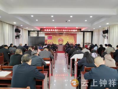 张集镇：深学笃行凝聚共识 实干担当聚力振兴