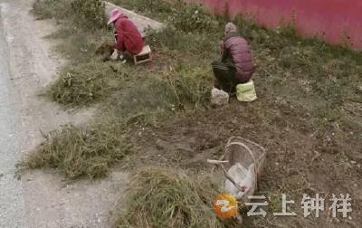 文集镇马桥村：聚力“五清一改” 刷新乡村“颜值” 