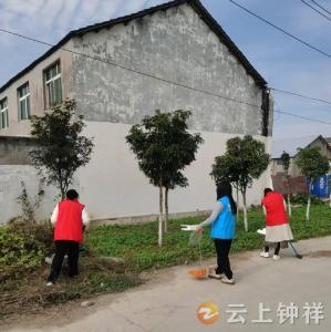 旧口镇七里湖社区：政协委员齐发力 “清洁家园”展担当