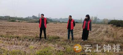 东桥镇马岭村：网格员深耕田间 打好秸秆禁烧“主动仗”