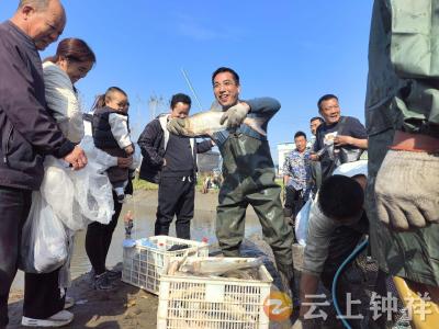 “渔”乐无穷！旧口镇第一届抓鱼大赛燃动冬日乡村