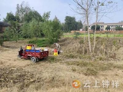 文集镇：环境整治不松懈 和美乡村焕新颜