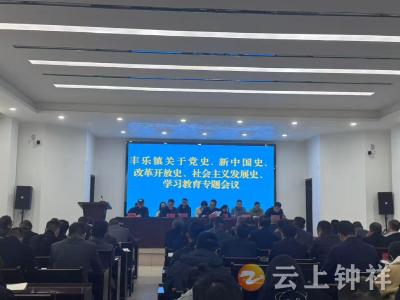 丰乐镇：学思践悟“四史”精神 凝聚基层发展强合力