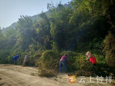 积分“兑”出好风景！冷水镇松柏村以“小机制”激活人居环境整治“大动力”