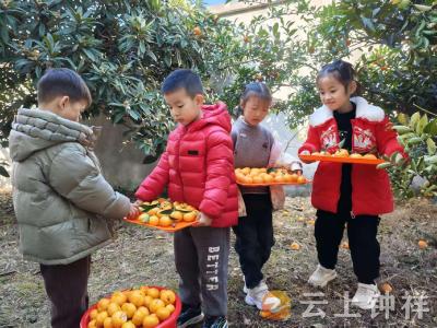 冬日园里果正甜 稚子巧手制“橘”礼——洋梓镇中心幼儿园食育课程邂逅冬日收获季