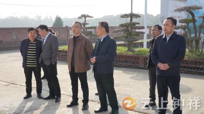 白海峰调研“水美小镇”项目规划情况