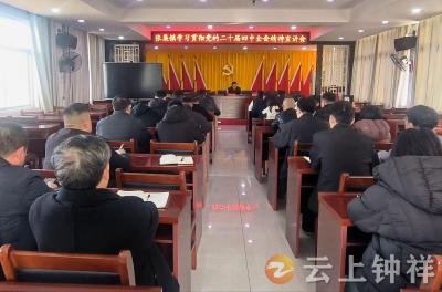 王小庆到张集镇宣讲党的二十届四中全会精神并部署当前重点工作