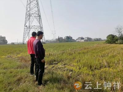 守护碧水蓝天——文集镇汉林村筑牢秸秆禁烧“防护网”