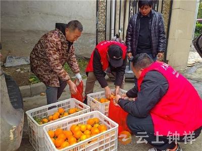 爱心柑橘暖人心！柴湖镇爱心捐赠传递冬日温情