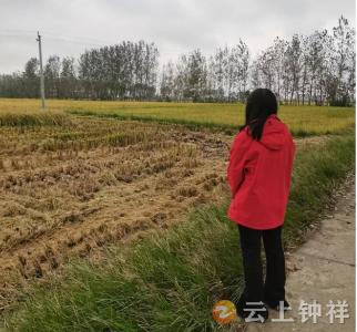 文集镇马桥村：干群同心聚力 筑牢秸秆禁烧“安全防线”