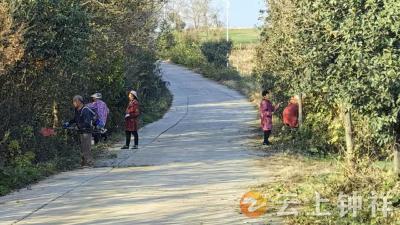 “清洁家园”迎新年——冷水镇邓庙村绘就人居新画卷